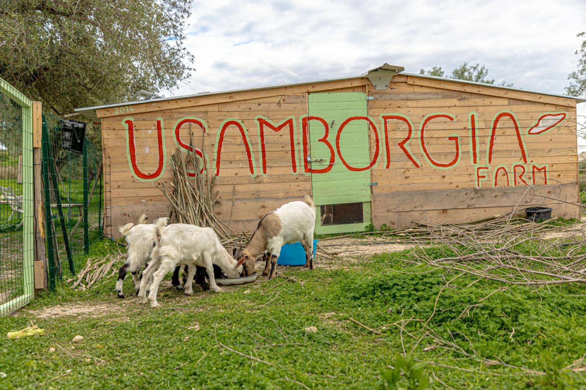 Masseria Usamborgia Guest House Noto Exterior foto